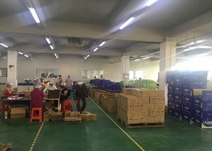 聚壹生物 商丘專業(yè)的洗衣片代加工與信息咨詢服務(wù)提供商